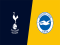 Nhận định Tottenham vs Brighton, 01h45 ngày 24/04: Phong độ đang lên