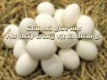 Mơ thấy trứng vịt đánh con gì? Mơ thấy trứng vịt có ý nghĩa gì?