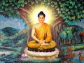 Mơ thấy Phật đánh con gì trúng lớn – Bí ẩn giấc mơ thấy Phật?