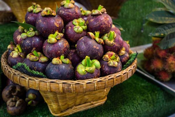 Mơ thấy quả măng cụt