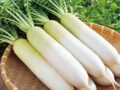 Nằm mơ thấy củ cải trắng đánh con gì
