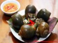 Giải mã giấc mơ thấy con ốc nhồi là điềm báo gì? đánh số mấy
