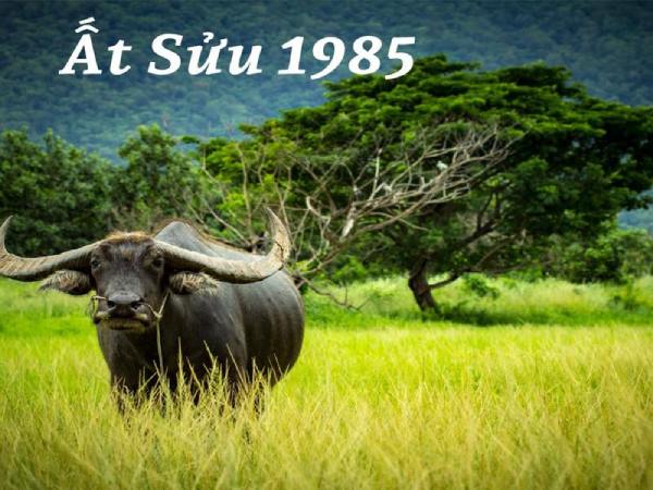 Tài vận có khởi sắc nhờ số đẹp tuổi Ất Sửu 22/8/2025?