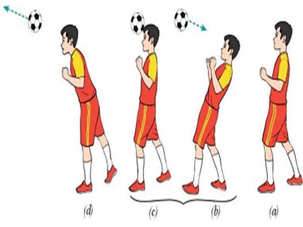 Hướng dẫn kỹ thuật đánh đầu trong bóng đá cho cầu thủ